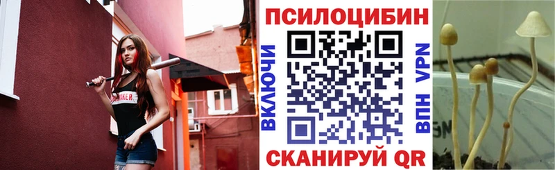 Галлюциногенные грибы Cubensis Купить закладки Вытегра